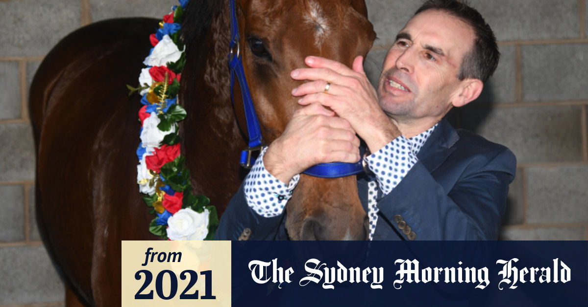 Horse racing 2021 From coma to Galleywood triumph horse trainer